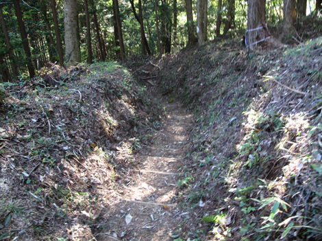 20171102hike (344)